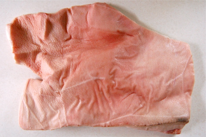 Pig Skin